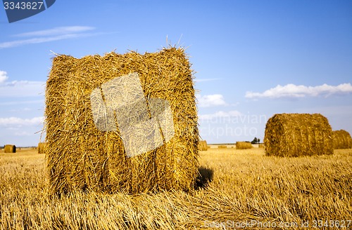 Image of agricultural field  