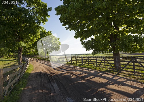 Image of the road on a farm  