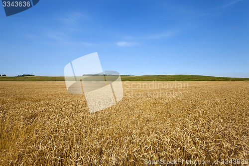 Image of agricultural field  