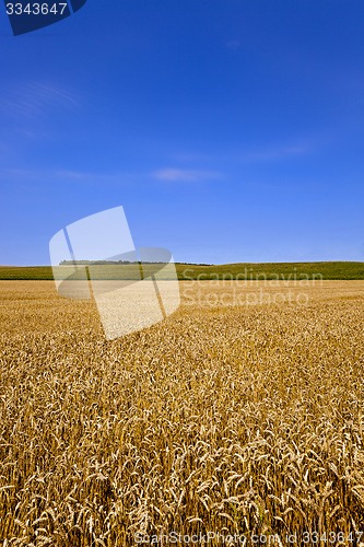 Image of agricultural field  