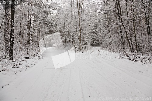 Image of the winter road  