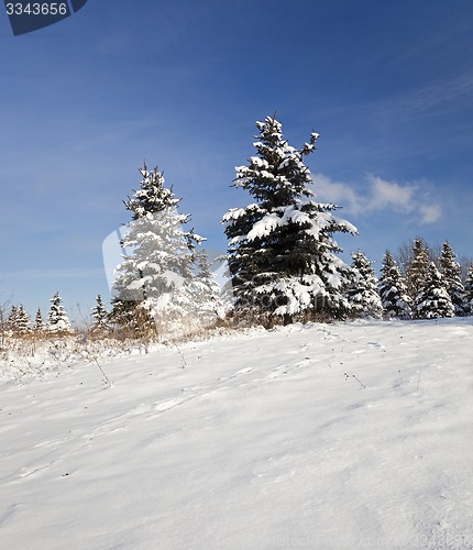 Image of winter  