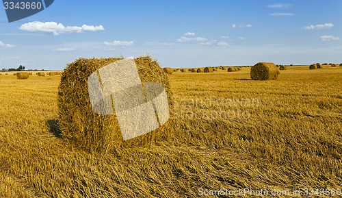 Image of agricultural field  