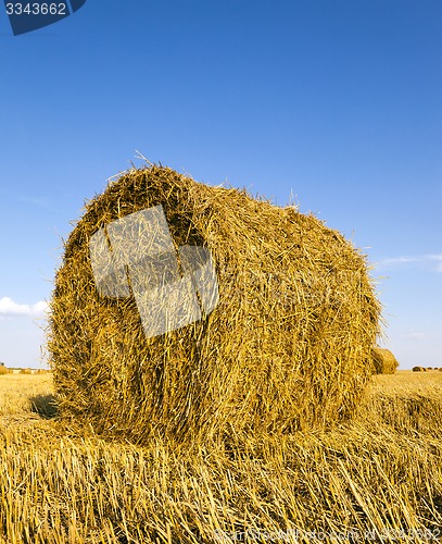 Image of agricultural field  