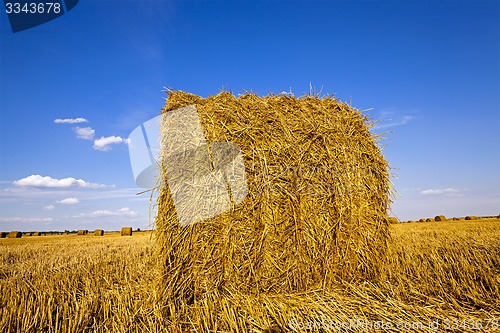 Image of agricultural field  