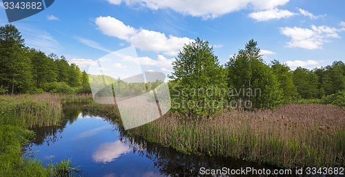 Image of the river 