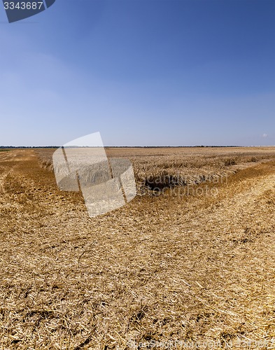 Image of agriculture  