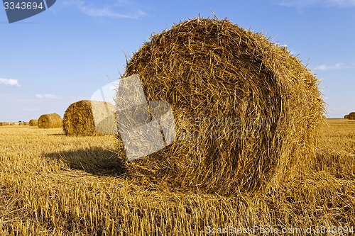 Image of agricultural field  