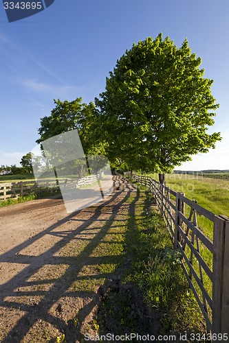 Image of the road on a farm  