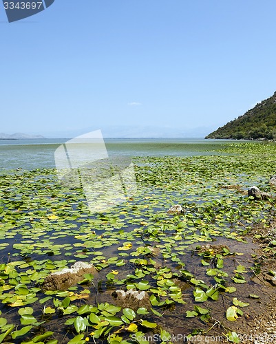 Image of the lake  Montenegro 