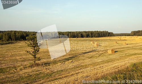 Image of straw stack 