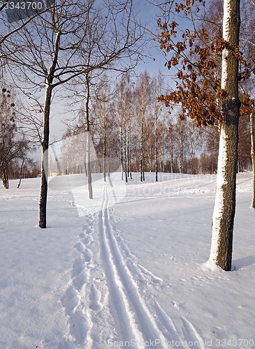 Image of the winter road  