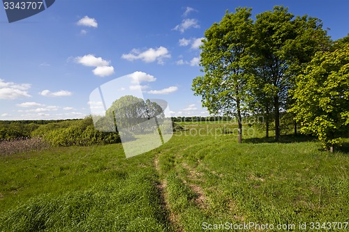 Image of the rural road  