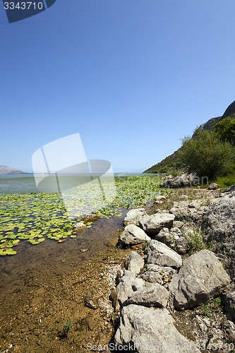 Image of the lake  