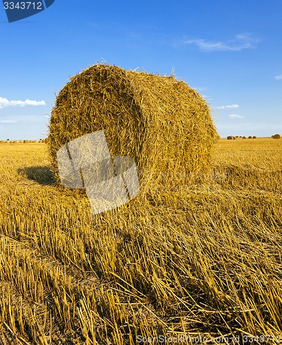 Image of straw stack  