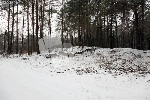 Image of the winter road  