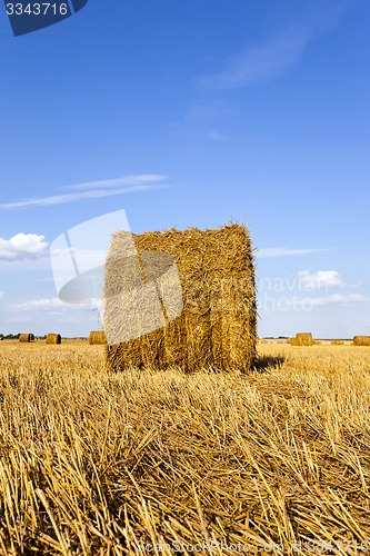 Image of agricultural field  