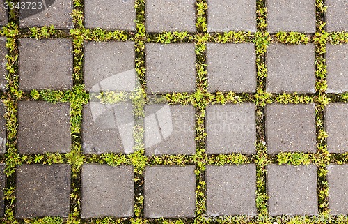 Image of paving slabs 