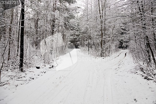 Image of the winter road  