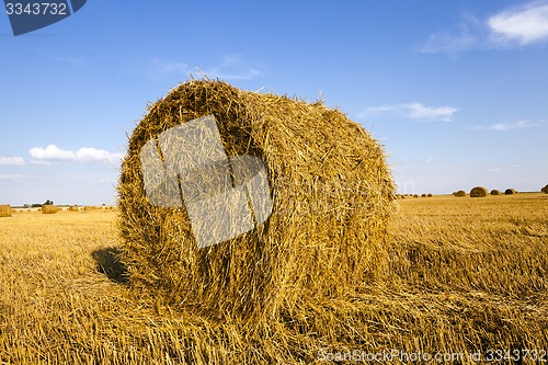 Image of agricultural field  