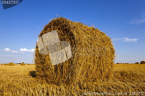 Image of agricultural field  