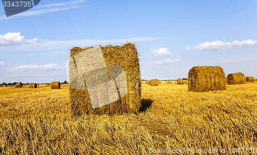 Image of agricultural field  