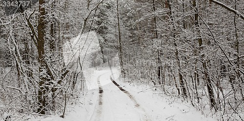 Image of the winter road  