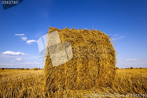 Image of agricultural field  