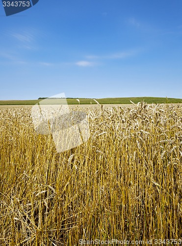 Image of agricultural field  