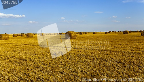 Image of agricultural field  