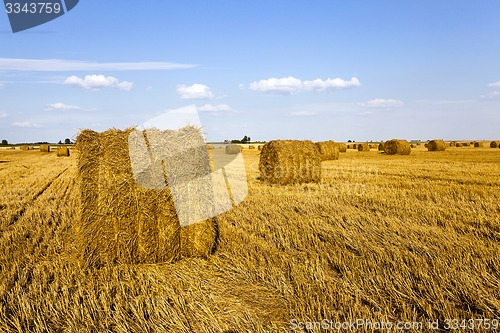 Image of agricultural field  