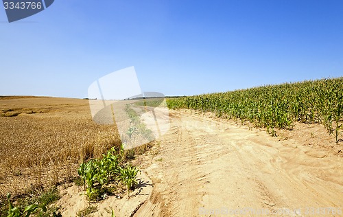 Image of rural road  