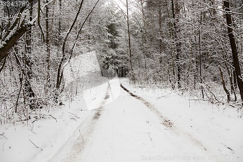 Image of the winter road 