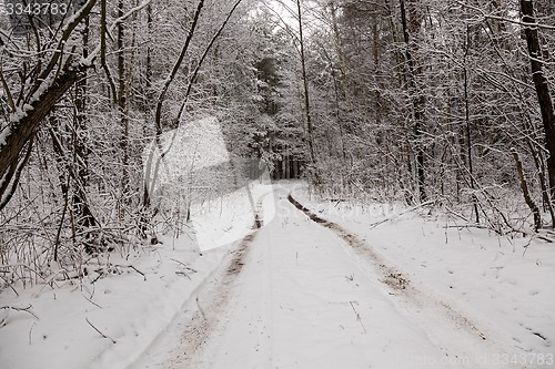 Image of the winter road  