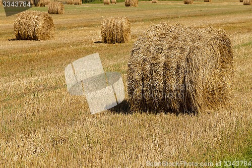 Image of straw stack 