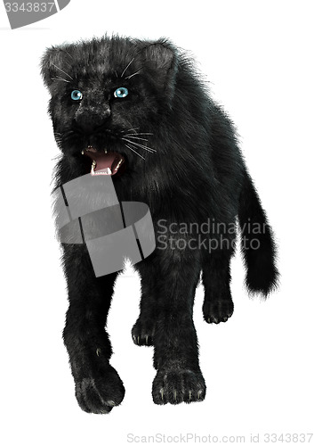 Image of Black Panther