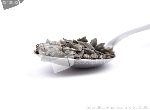 Image of Bird seed on spoon