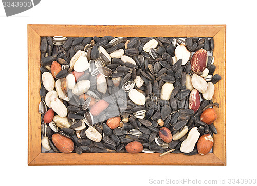 Image of Bird seed in frame