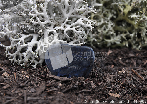 Image of Dumortierite on forest floor