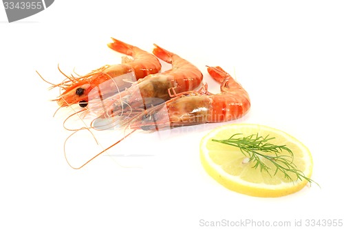 Image of three Shrimp with lemon