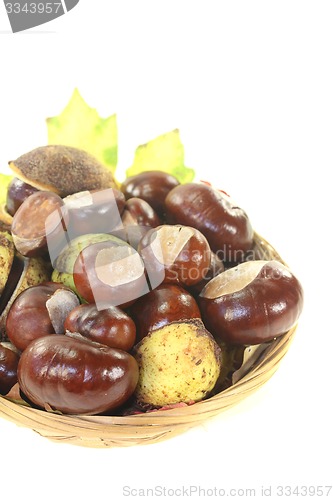 Image of brown horse chestnuts in a basket