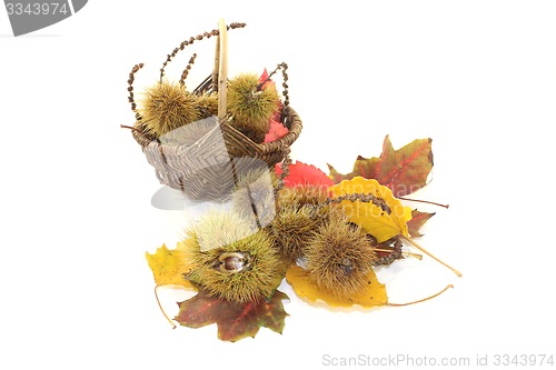 Image of sweet Chestnuts in a basket