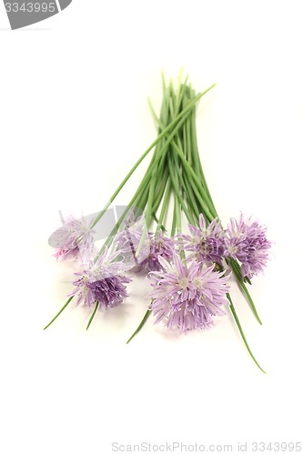 Image of fresh chives with blossoms