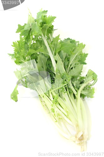 Image of Turnip green leafs