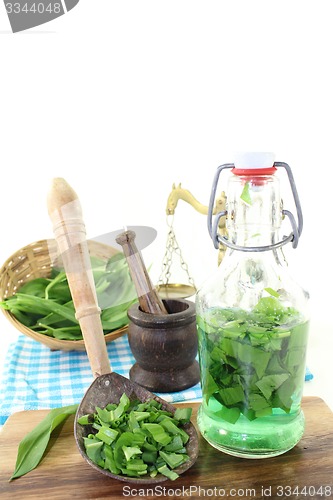 Image of wild garlic tincture in a bottle