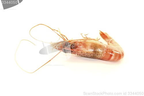 Image of cooked shrimp