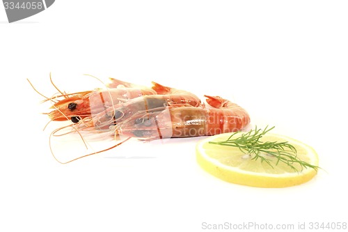 Image of three Shrimp with lemon and dill