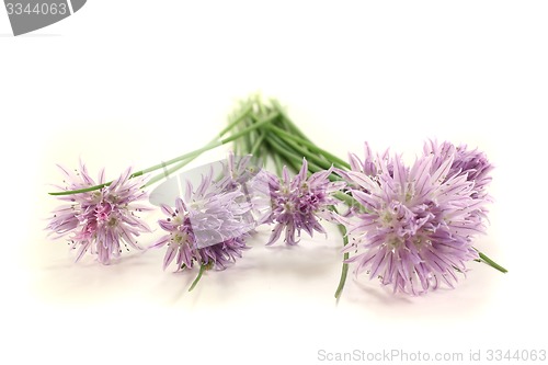 Image of fresh chives