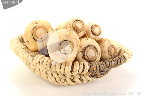 Image of Parsnip