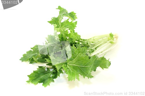 Image of green Turnip greens